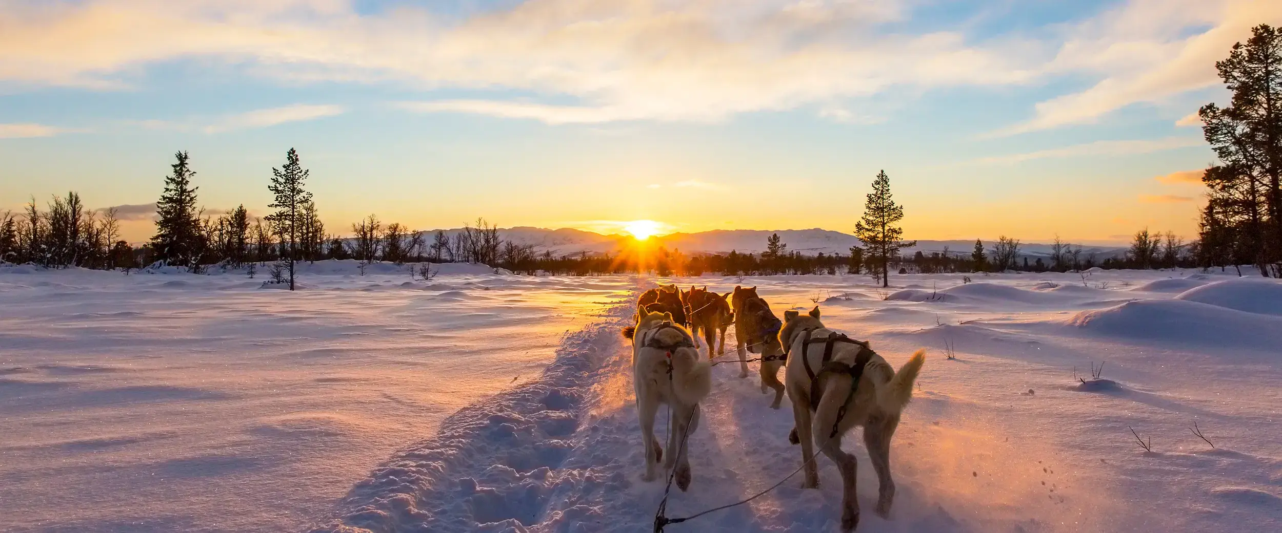 Winterurlaub in Finnland: Tipps und Wissenswertes
