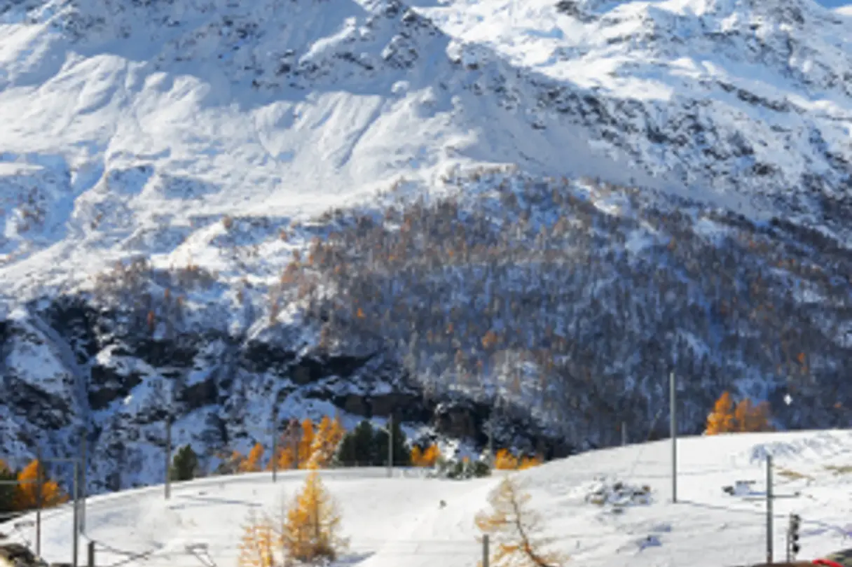 Glacier Express Schweizer Alpen Alp Grüm