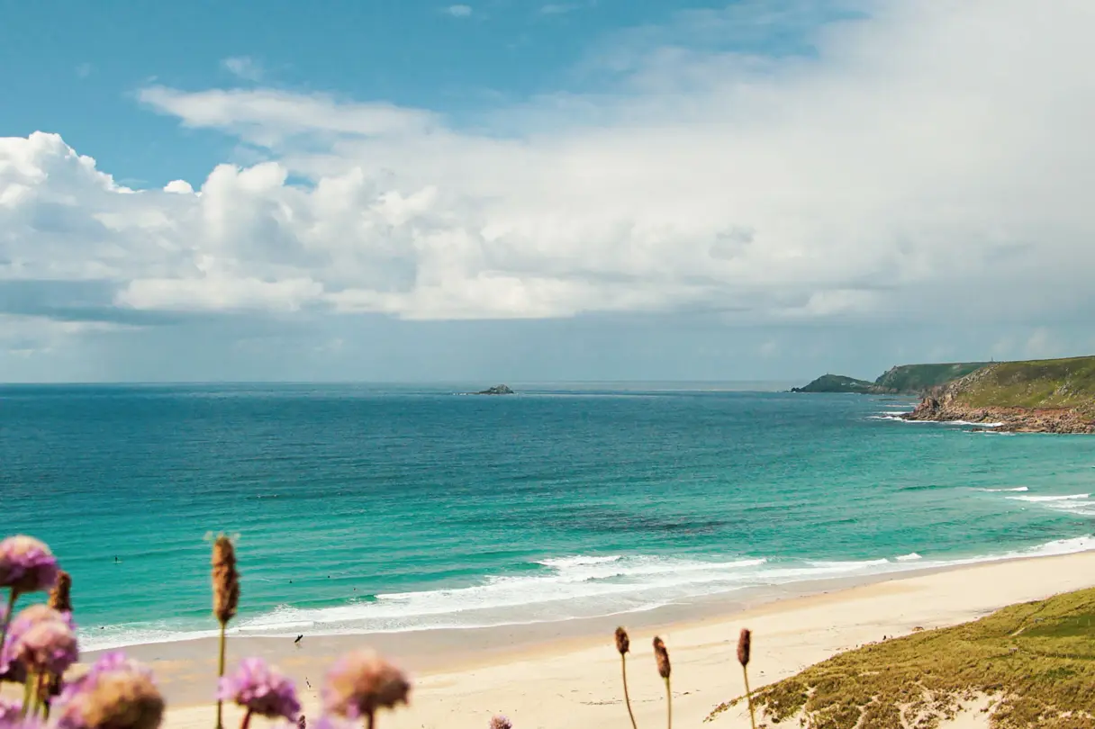Küste Cornwall Blumen Strand