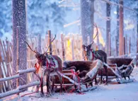Erlebnisreise Lappland - Bekannt aus "Antenne Thüringen"
