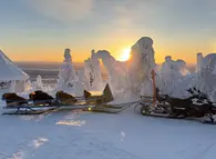 Großes Erlebnispaket Winter in Lappland - alles inklusive