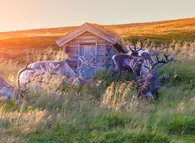 Indian Summer in Finnland und Schweden
