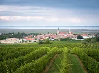 Oper trifft Musical im Burgenland