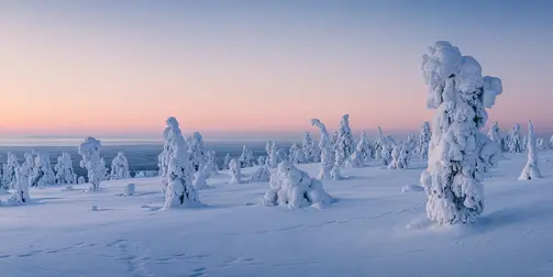Erlebnisreise Lappland - Bekannt aus "Antenne Thüringen"