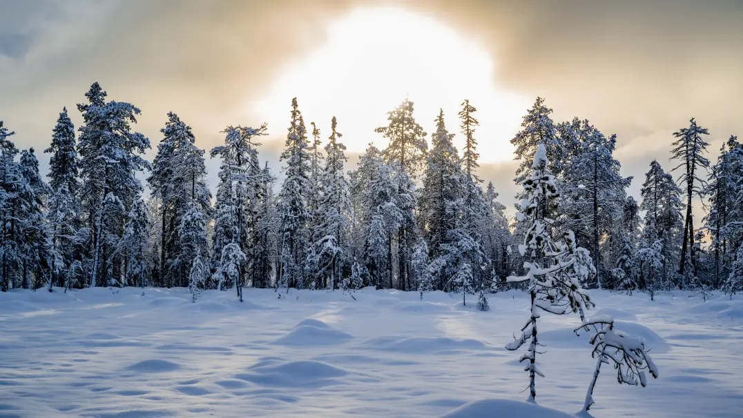 Winterurlaub im idyllischen Skigebiet Pyhä