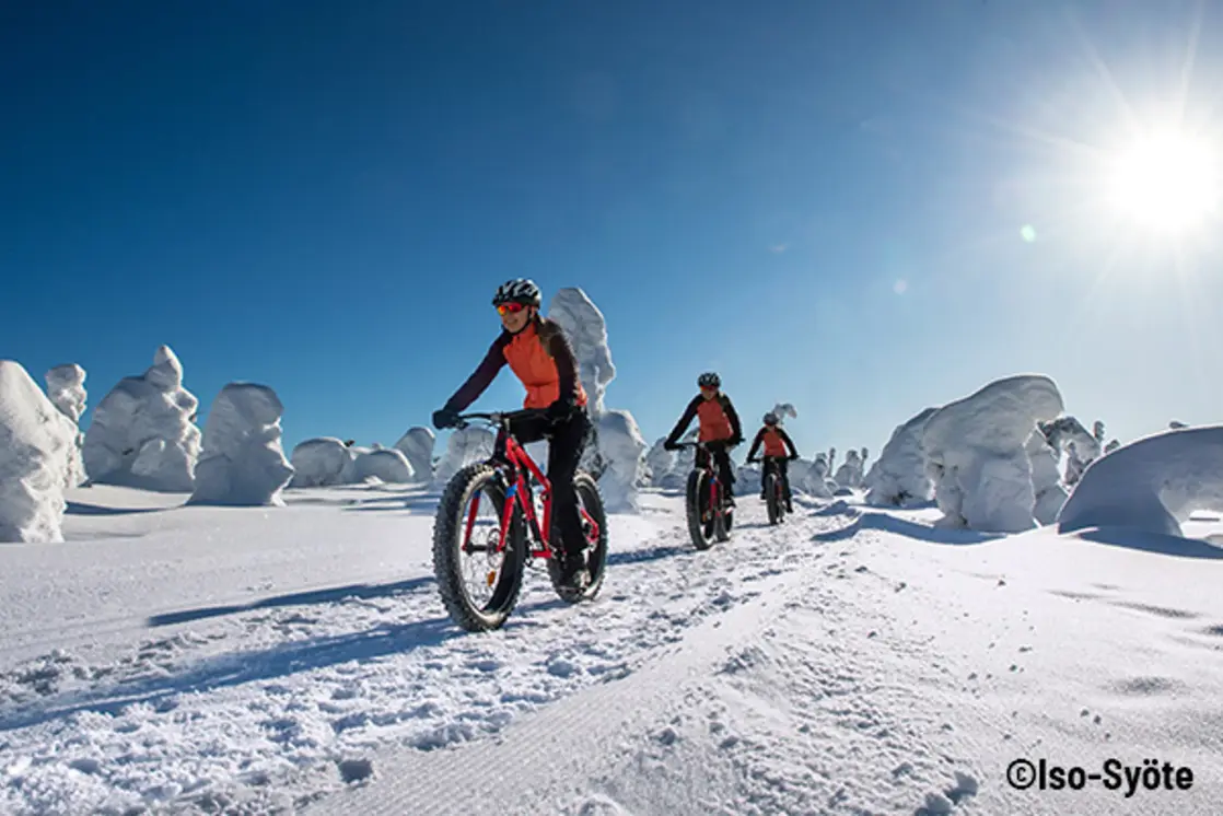 E-Fatbiketour mit Guide bei Iso-Syöte in Finnisch Lappland