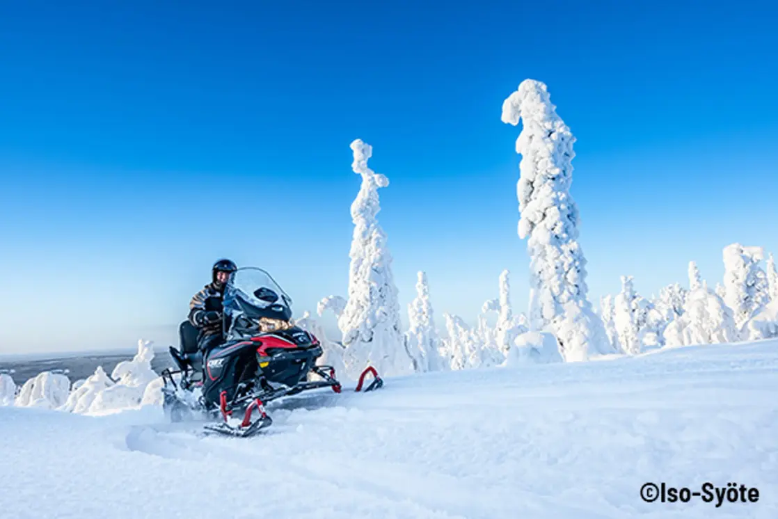 Schneemobilsafari bei Iso-Syöte in Finnisch Lappland