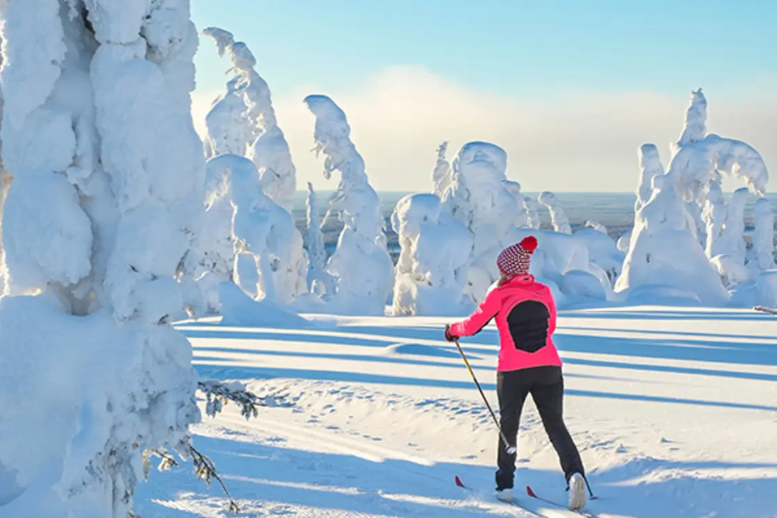 Langlauf-Ski Grundkurs bei Iso-Syöte in Finnisch Lappland