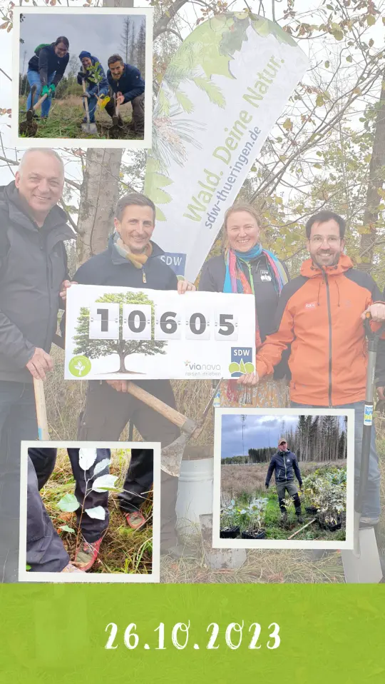 Baumpflanzen Oktober 2023 Team Baum Bild