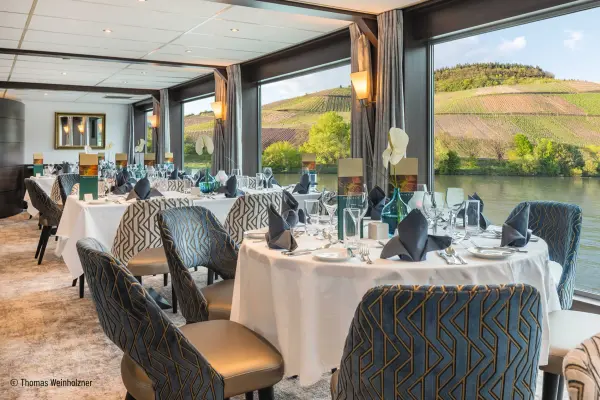 Panorama Restaurant MS Amadeus Elegant