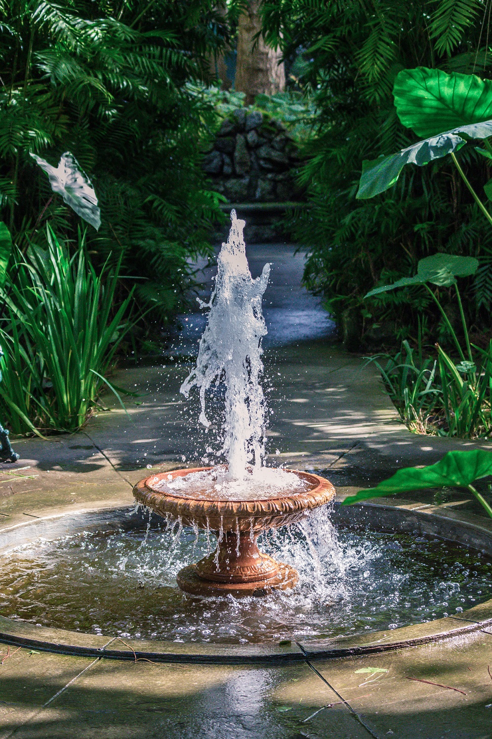 Der Botanische Garten auf Ischia Ein Tag im Paradies vianovaReiseblog