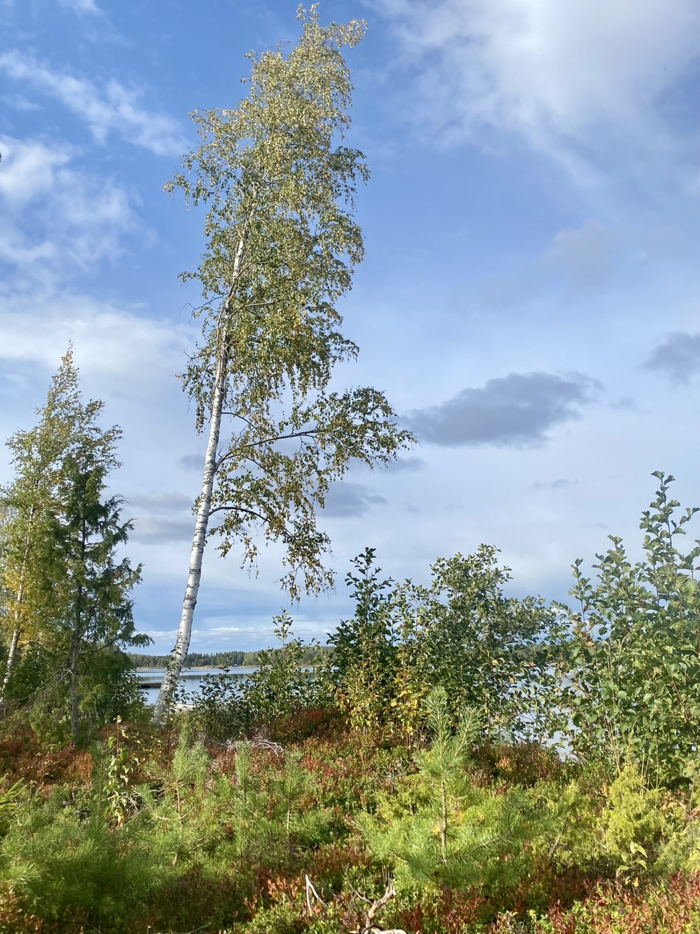 2022_09_Thomas-Marx-Famtrip-Savonlinna (49)