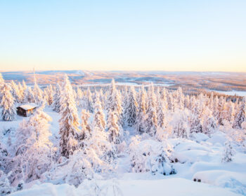 Blick über die finnische Winterlandschaft von einem Berg