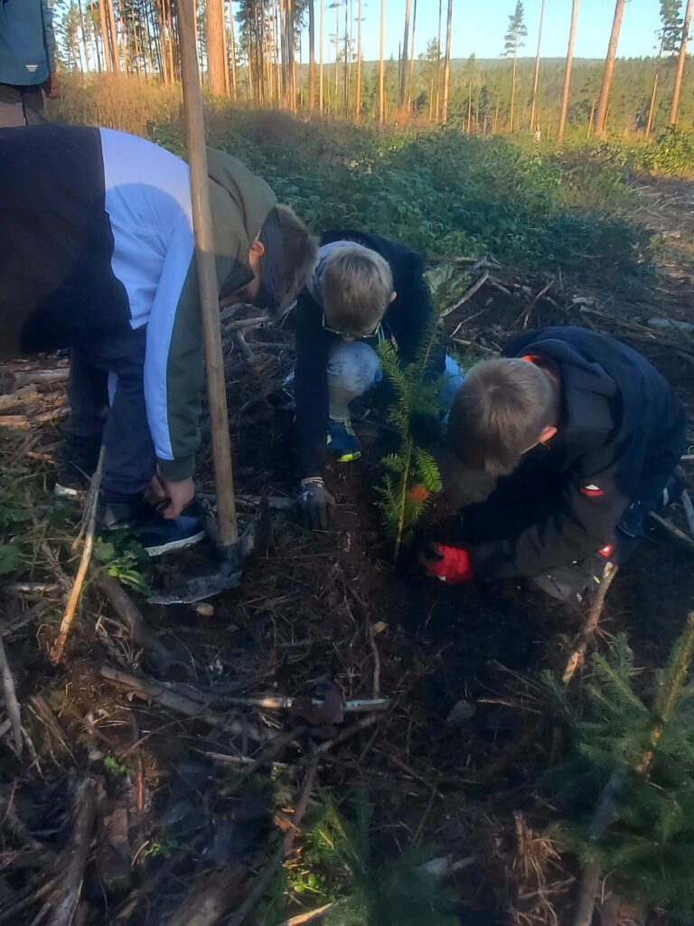 Kinder pflanzen Bäume