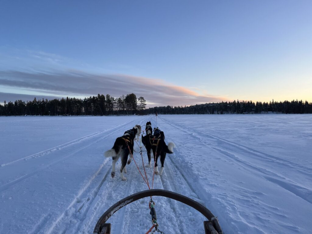 Fahrt mit dem Hundeschlitten See Winter Schnee