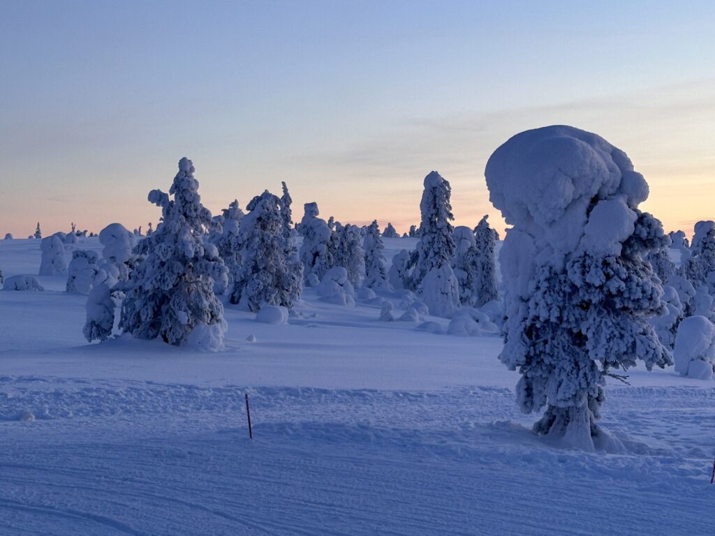 Winterlandschaft bei Kuusamo im Sonnenlicht