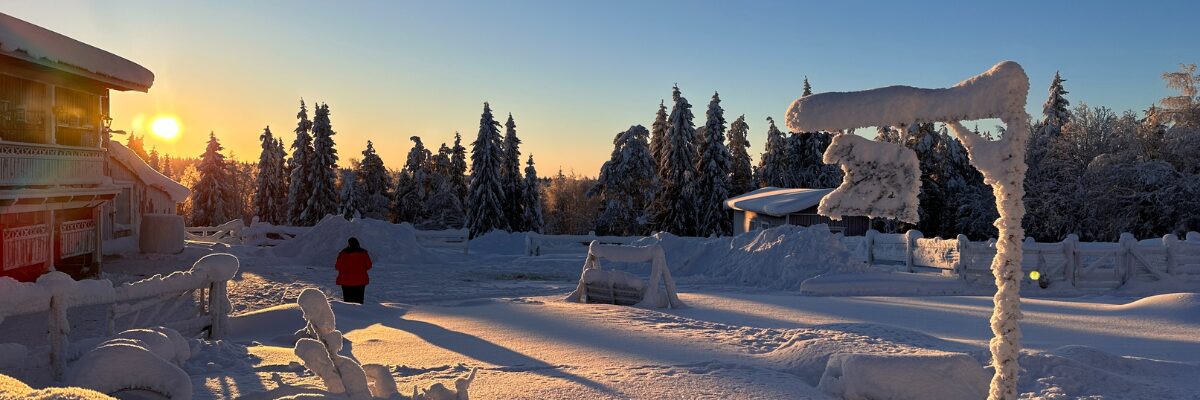 Warum eigentlich Skandinavien?