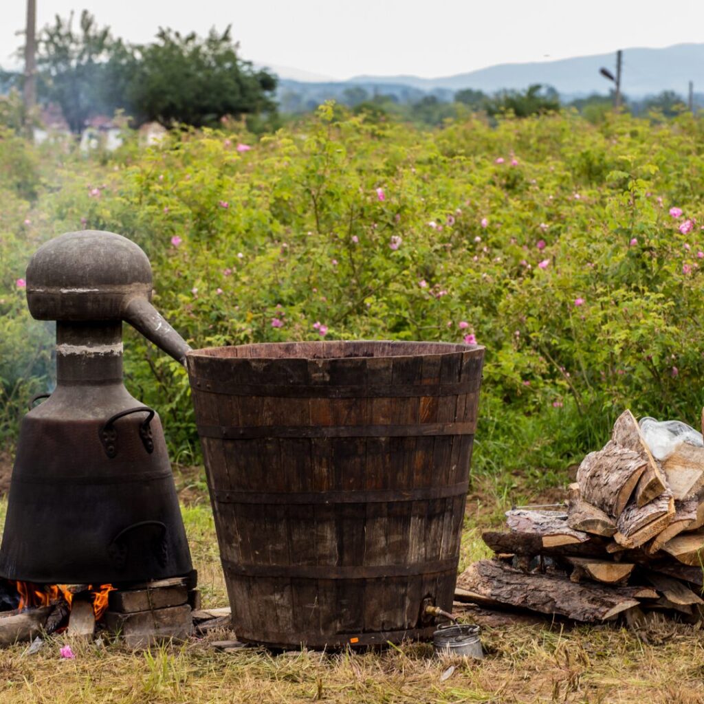 Landschaft und Landwirtschaft in Bulgarien im Hinterland