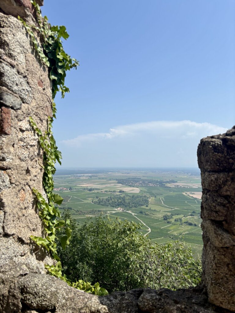 Blick vom Odilienberg