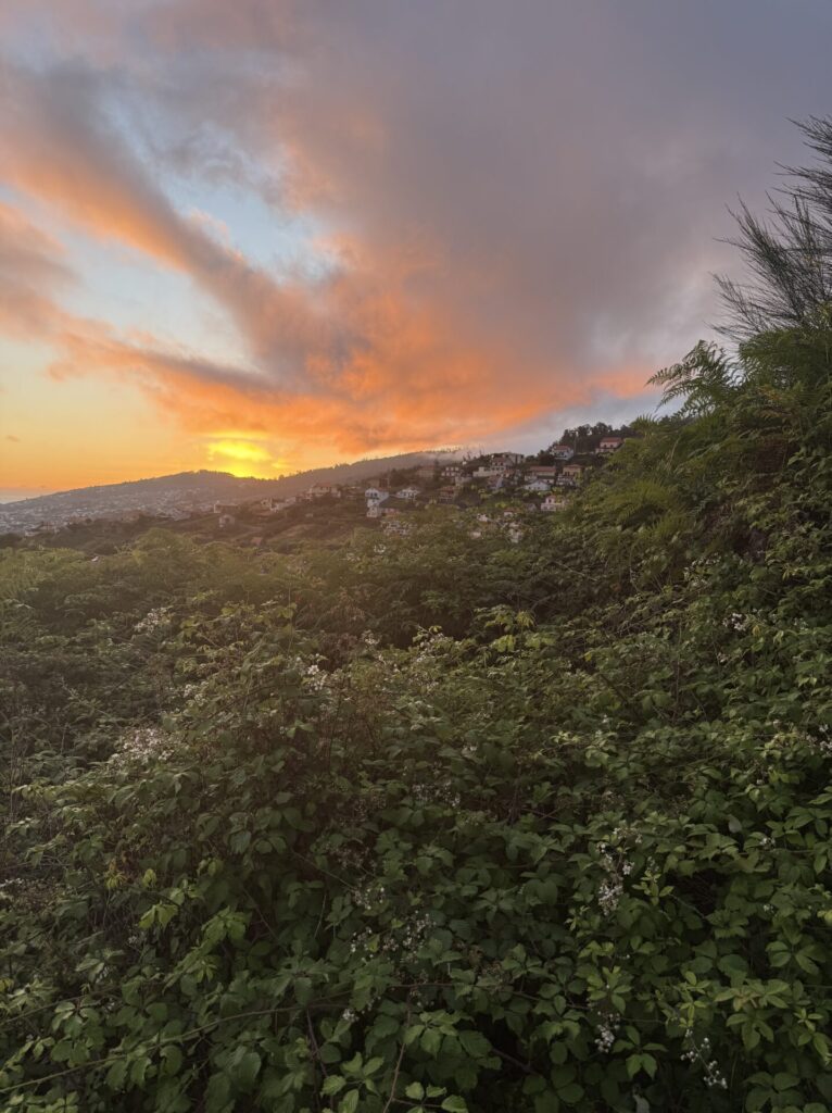 Sonnenaufgang Wolken roter Himmel Madeira