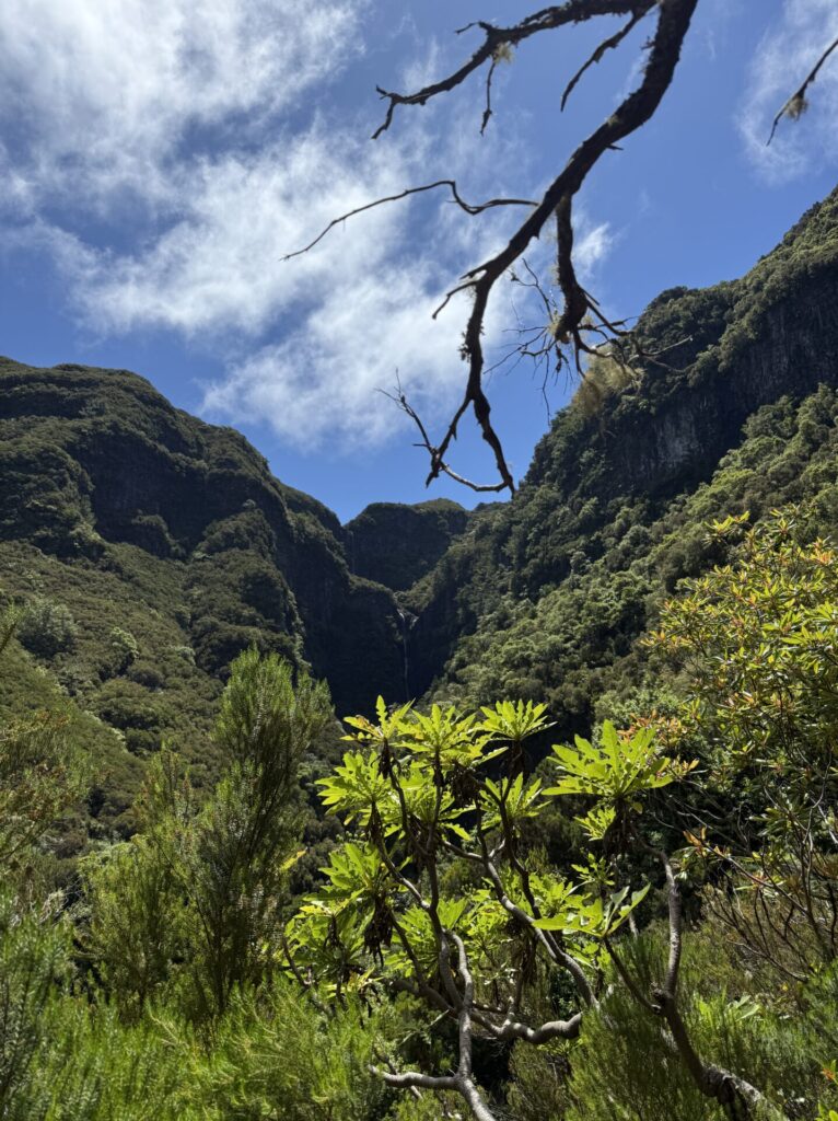 Felsen bewachsen und blauer Himmel auf Madeira
