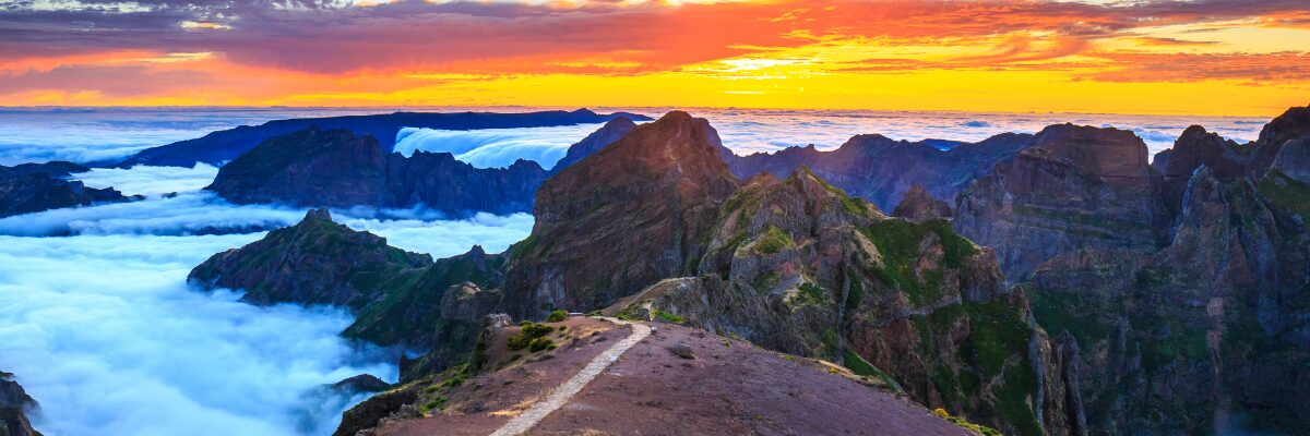 Madeira: Landschaft, Vegetation und Kontraste
