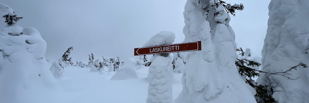 Lappland im Winter: Stille im Winterwald