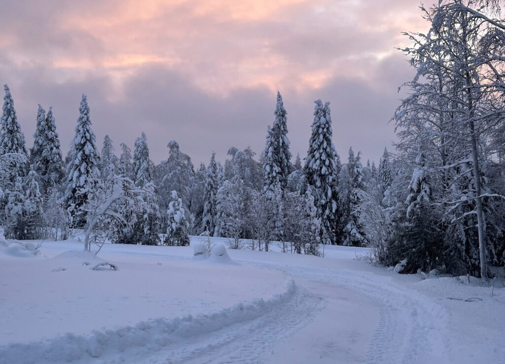 verschneite Bäume und Straße im Sonnenuntergang in Finnland im Winter