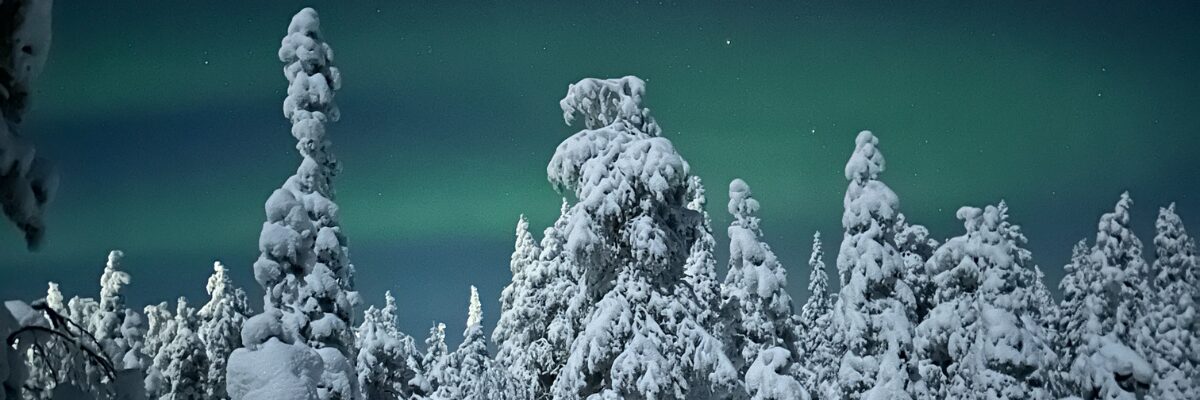 Lappland im Winter: Warten auf Polarlichter