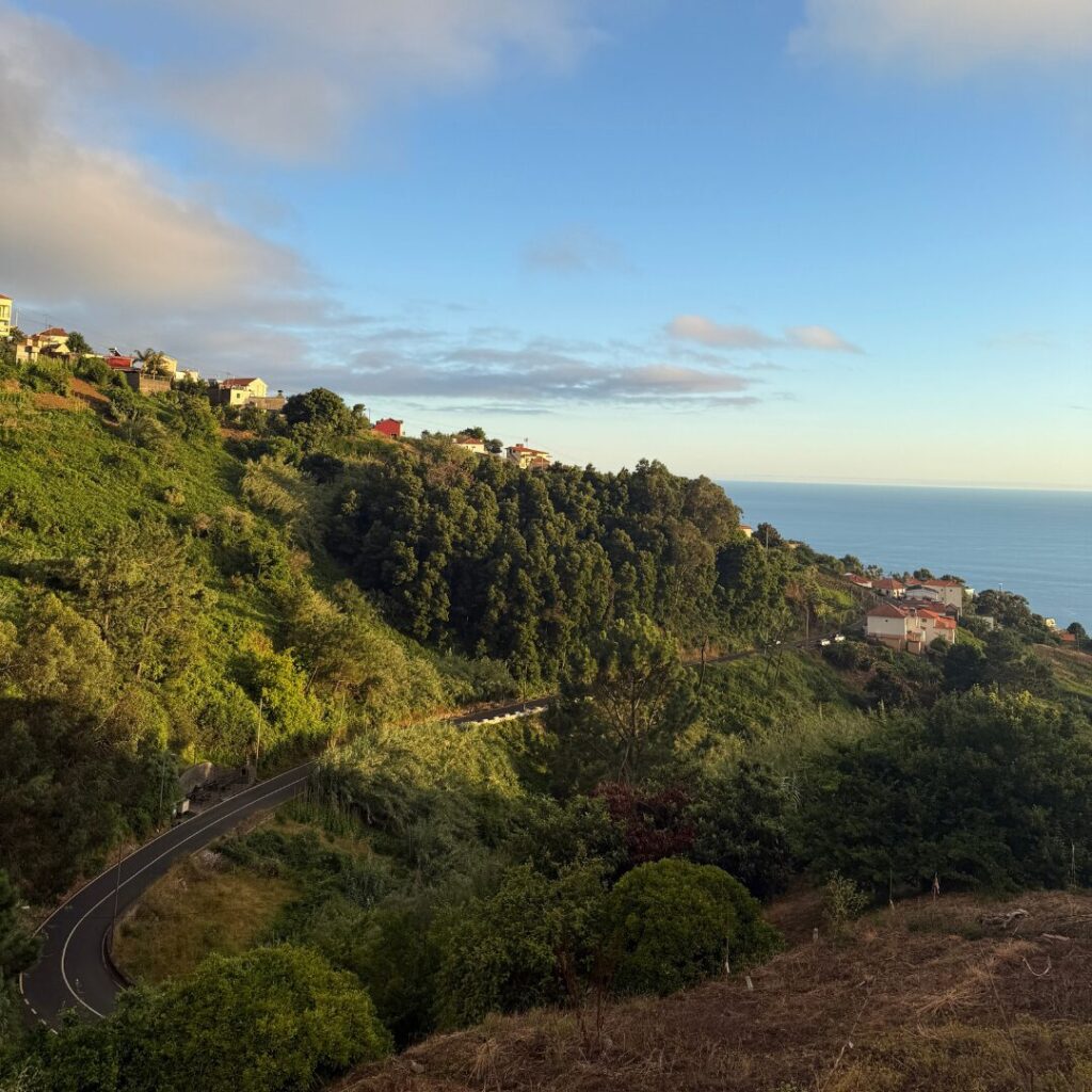 Straße und Landschaft auf Madeira