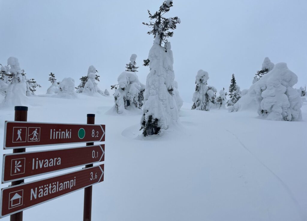 Wegweiser im Tiefschnee verschneite Bäume