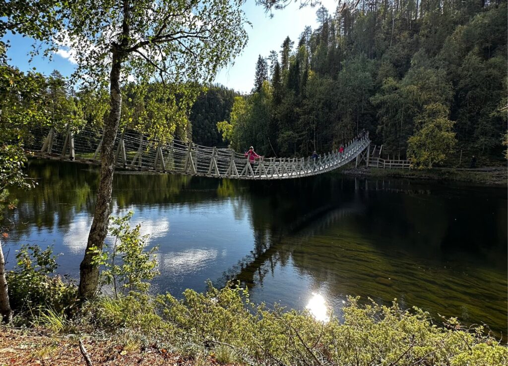 Brücke im Herbst im Oulanka Nationalpark