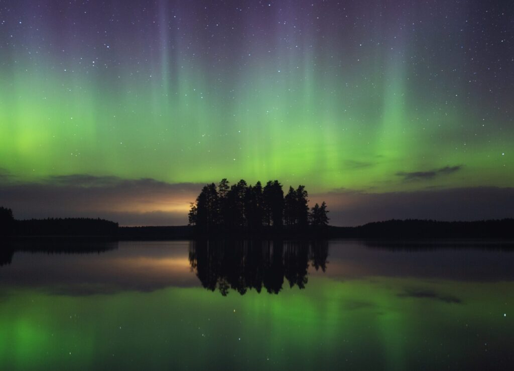 Polarlichter über Bäumen am See im Herbst