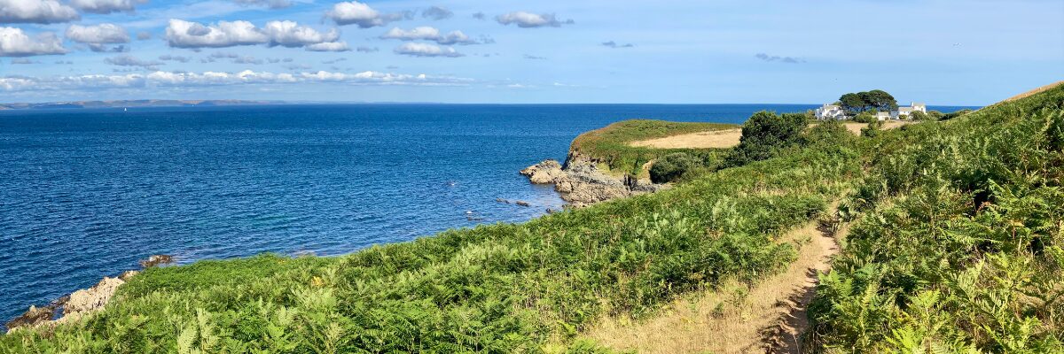 Blick über Küste in Cornwall Sommer