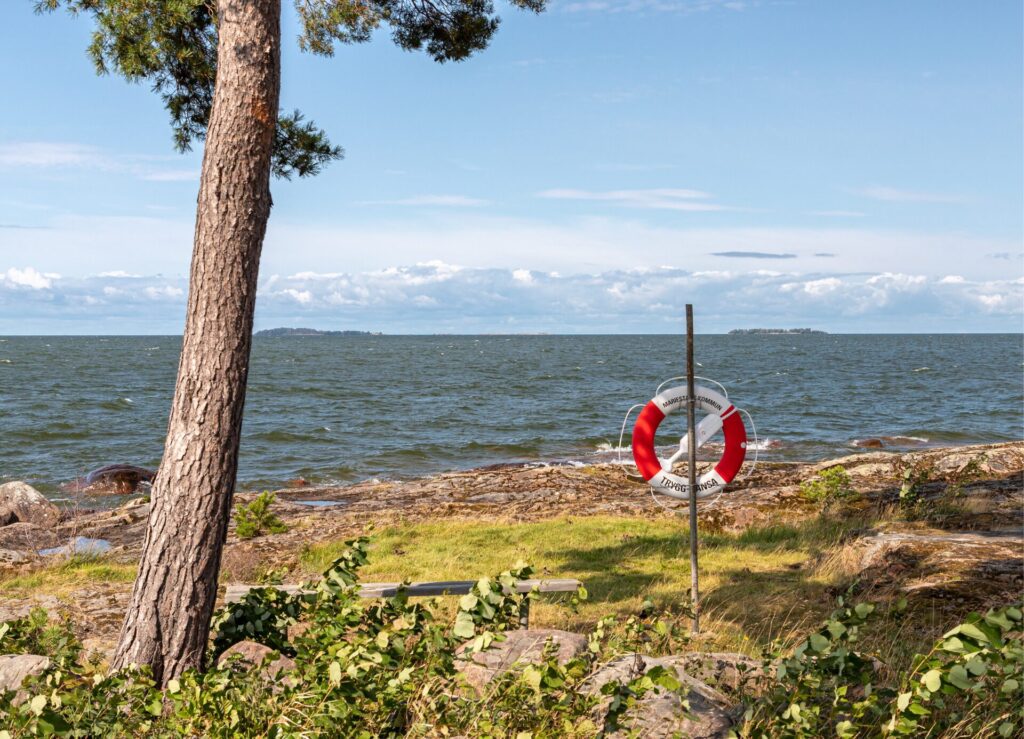 Wind am Vätternsee Schwimmring und Baum