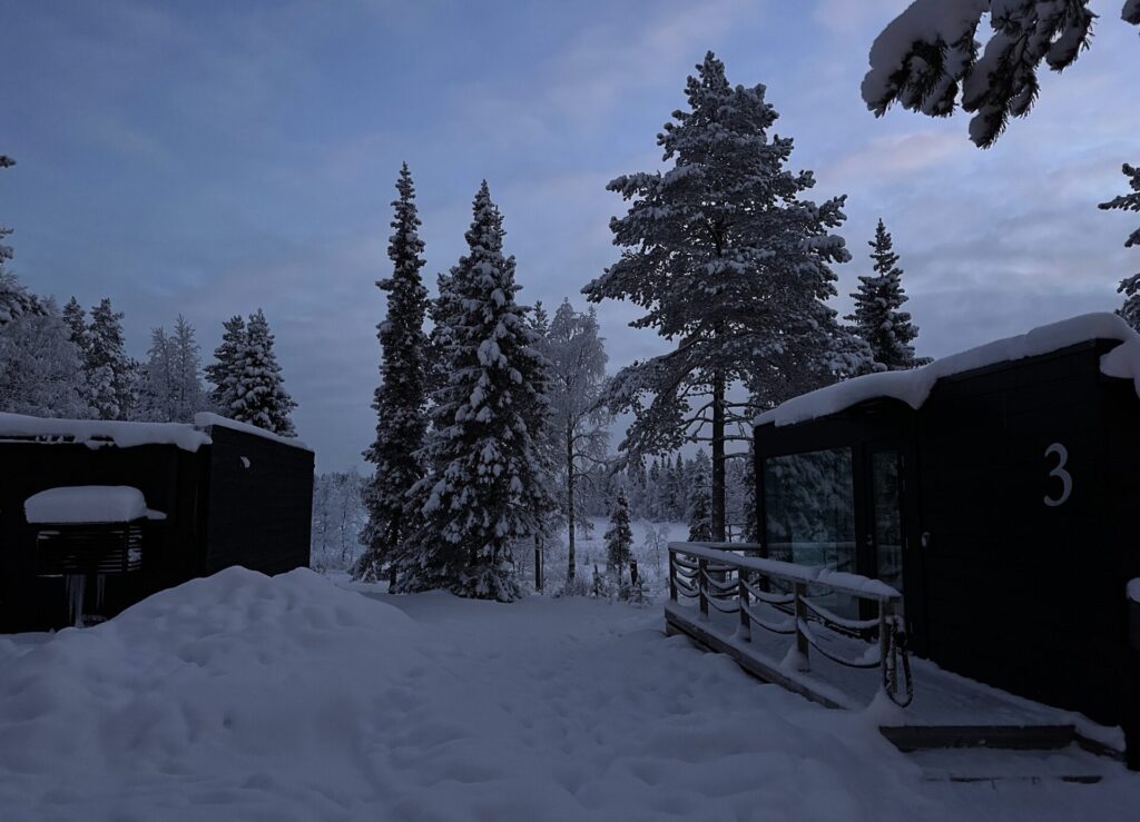 Winterlandschaft Bäume Finnland mit Schnee Dämmerung