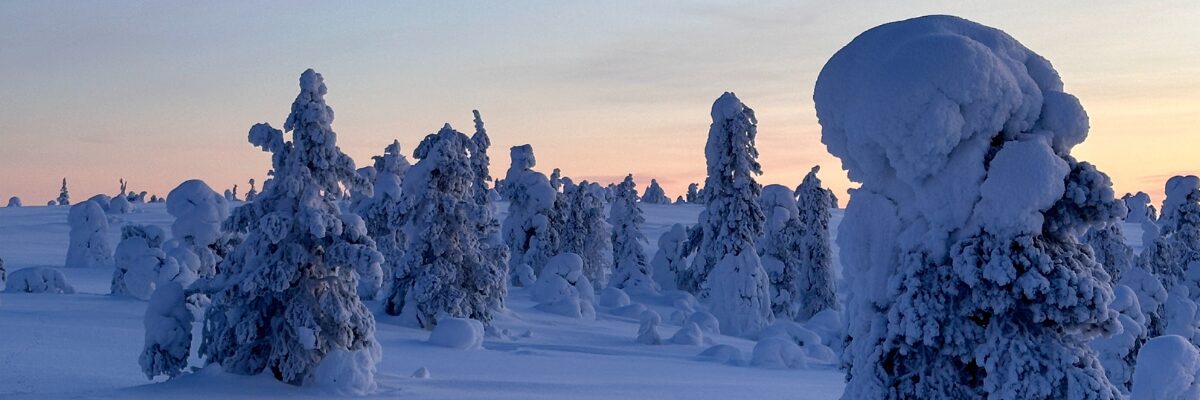 Lappland im Winter: Ankommen in Kuusamo