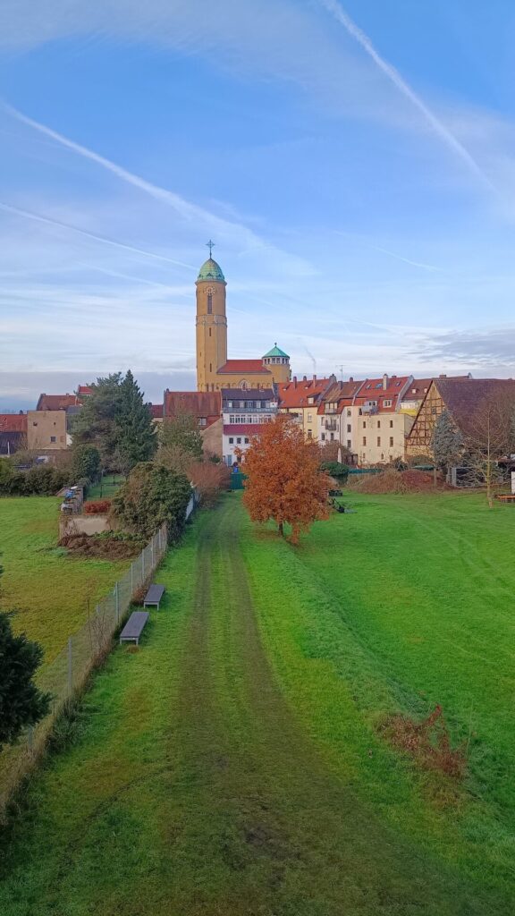Blick über Gärtnerstadt Bamberg im Winter