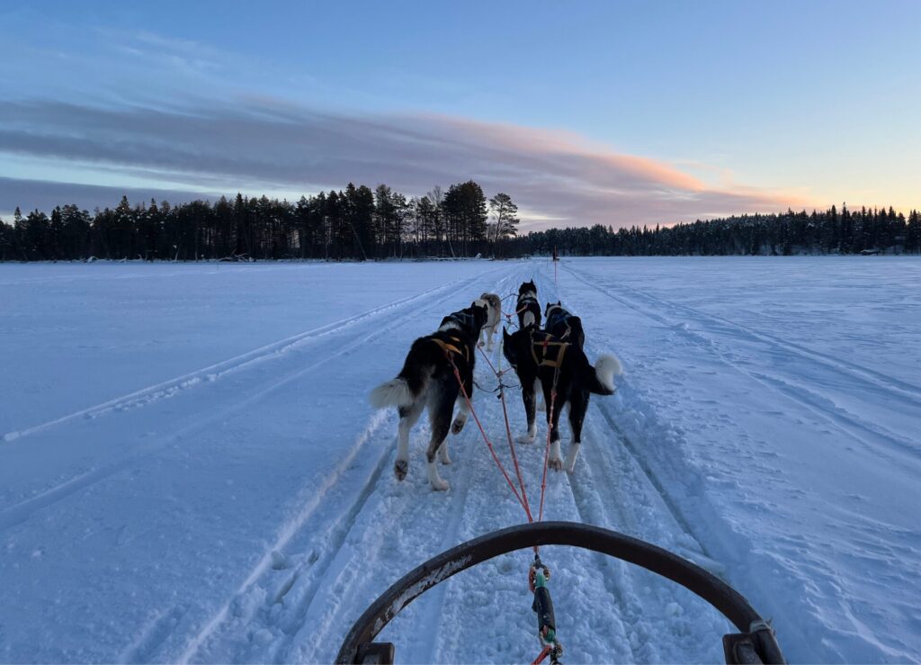 Hundeschlitten verschneiter See Sonnenuntergang Lappland