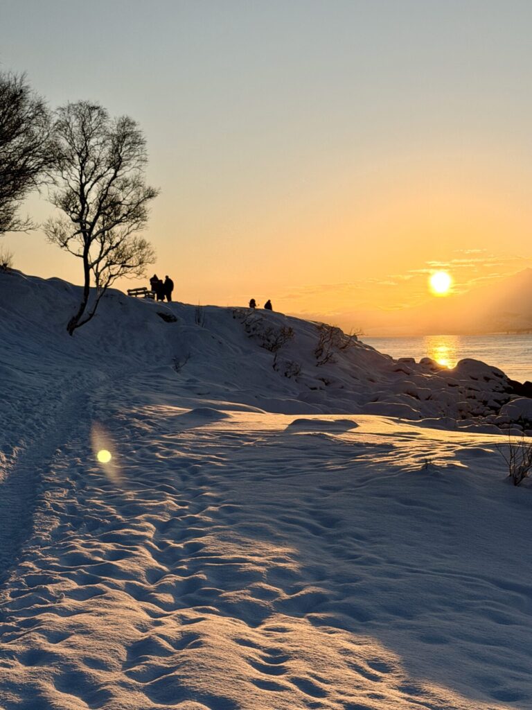 Sonnenuntergang Schnee Fjord Norwegen Winter Meer
